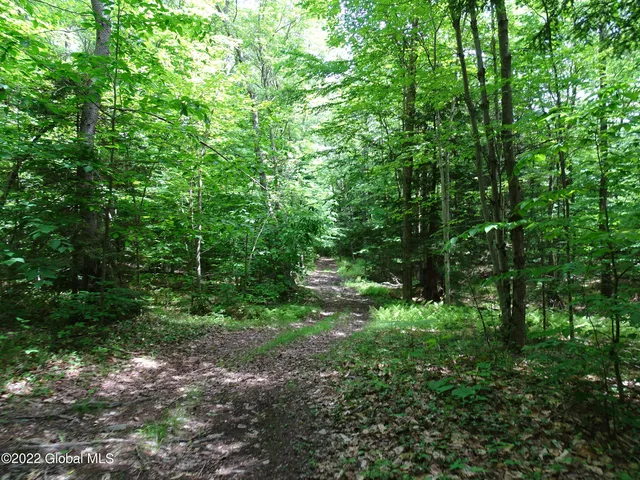 $1,318,000 | 528 Dyken Pond Road, Berlin, NY 12138