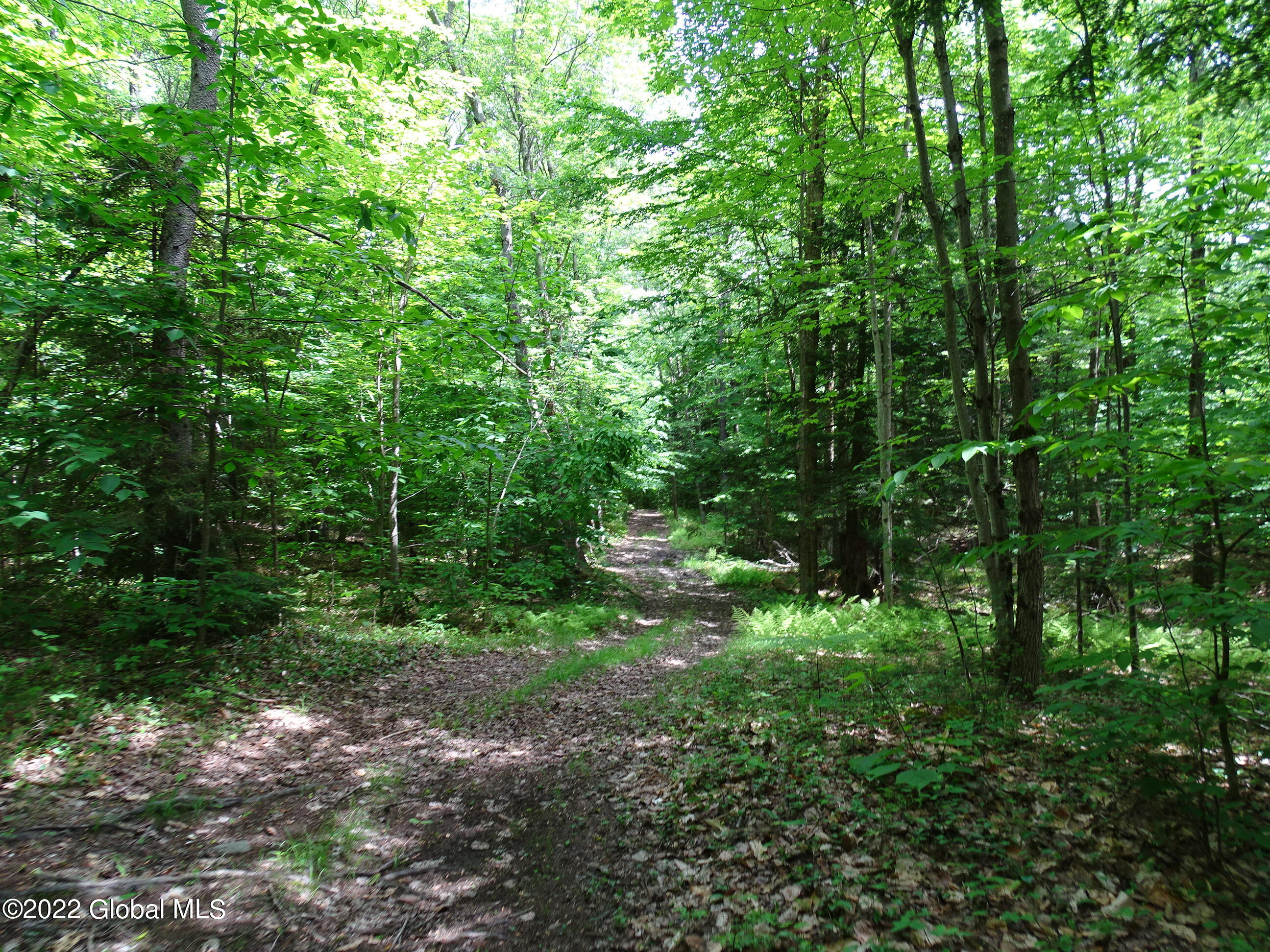 528 Dyken Pond Road Berlin, NY 12138 - Photo 27 of 100 DSC06058