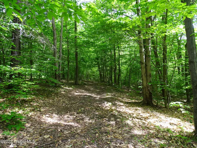 $1,318,000 | 528 Dyken Pond Road, Berlin, NY 12138