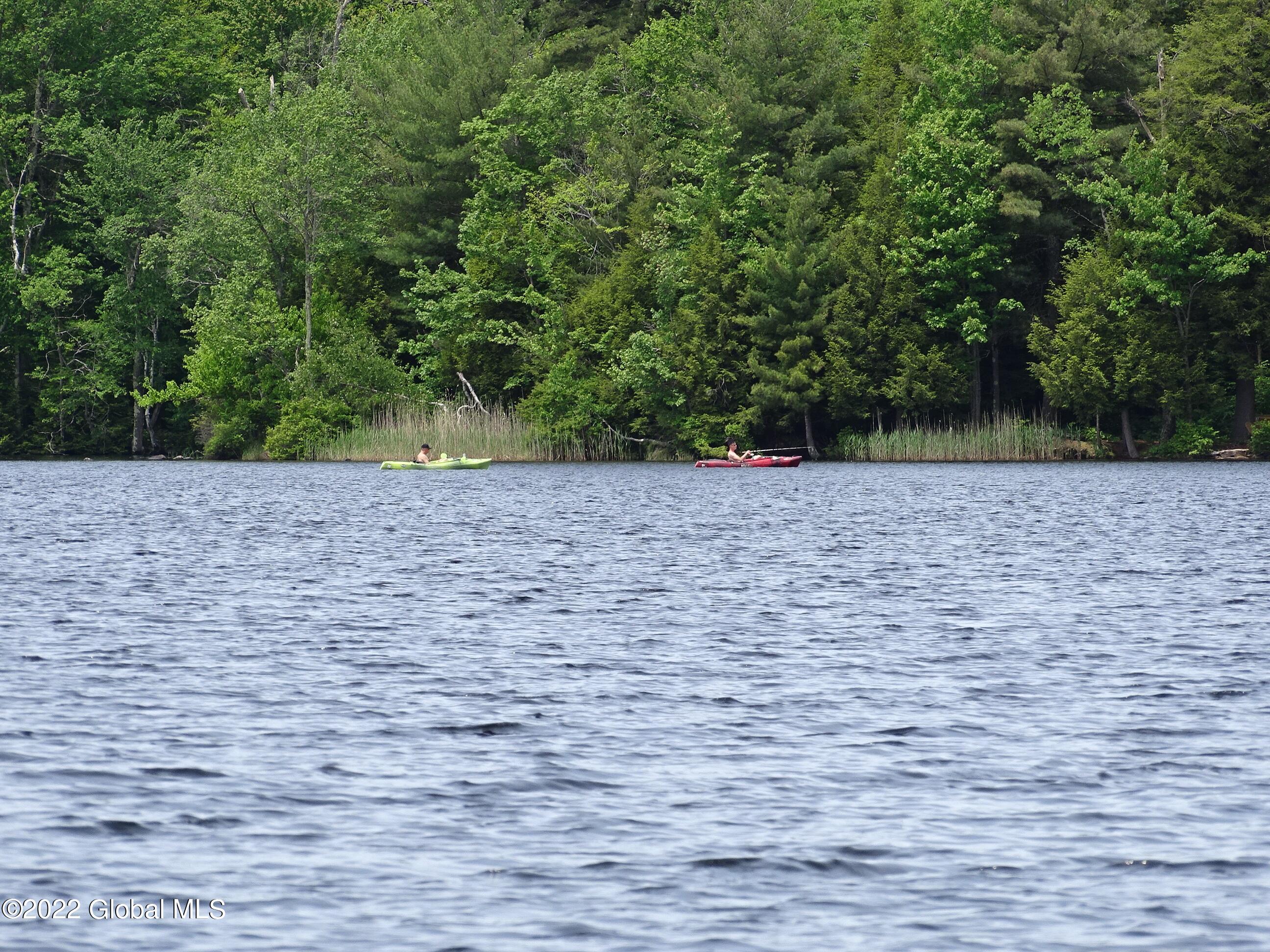 528 Dyken Pond Road Berlin, NY 12138 - Photo 32 of 100 DSC06102