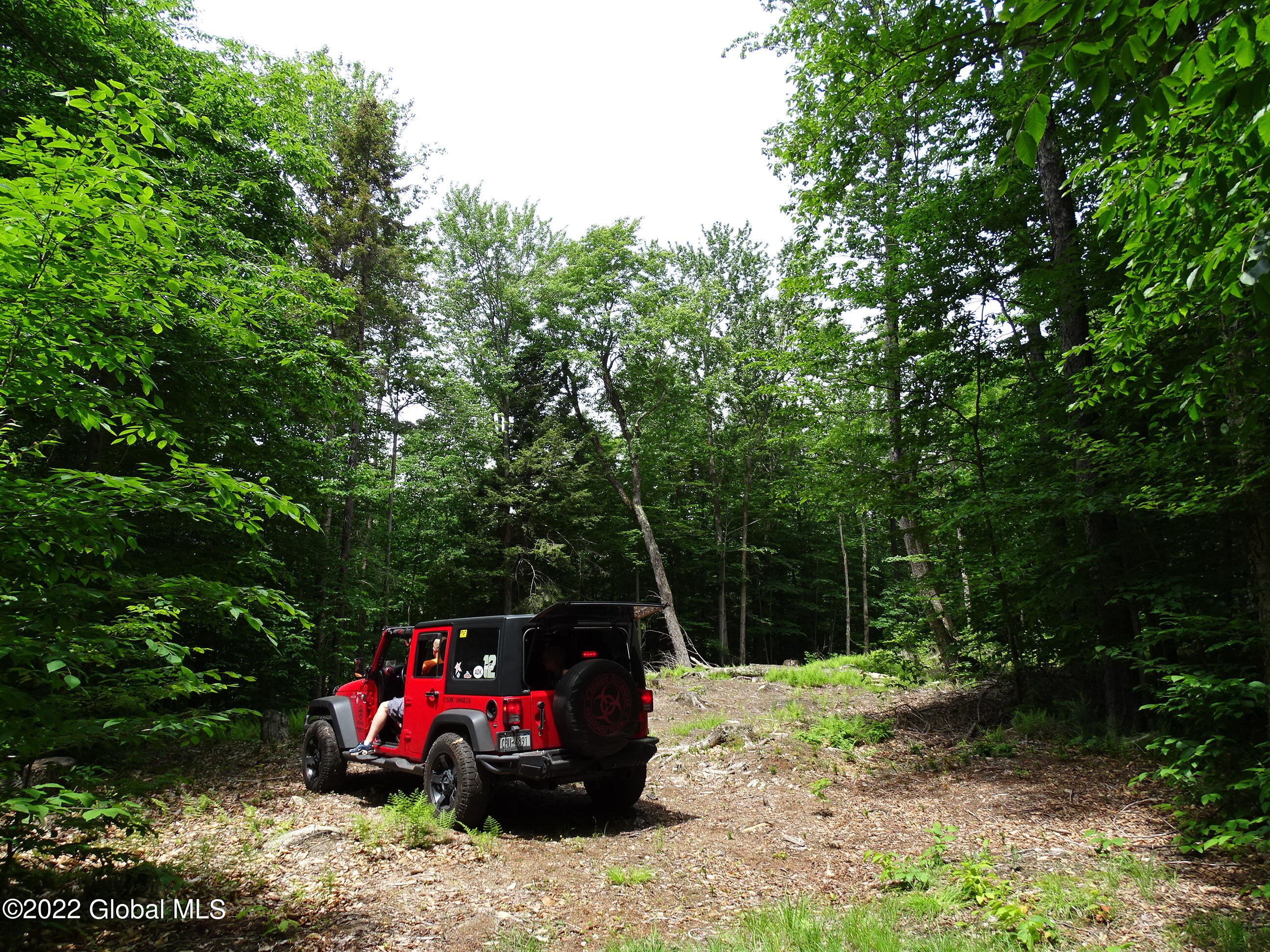 528 Dyken Pond Road Berlin, NY 12138 - Photo 33 of 100 DSC06122