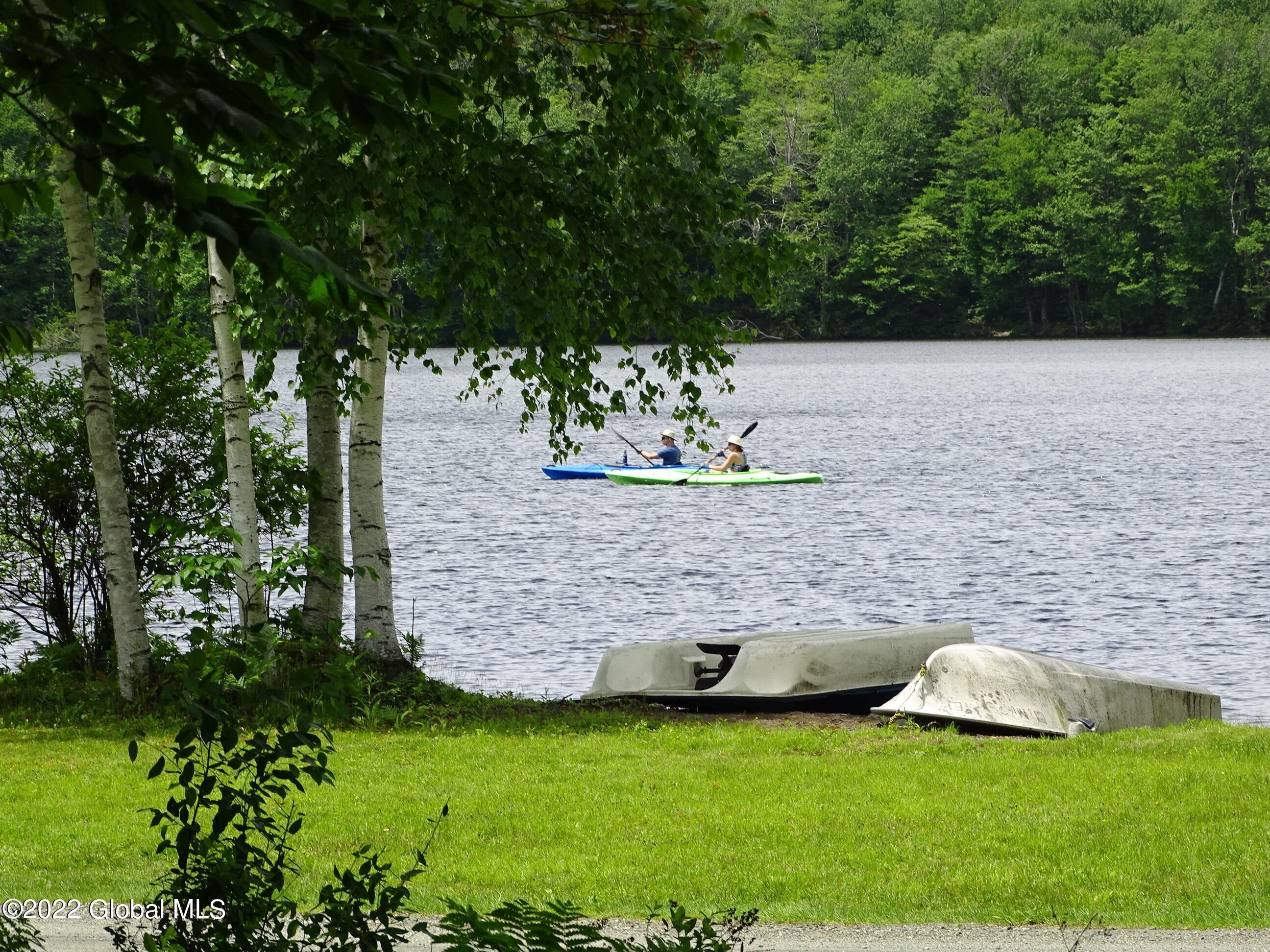 528 Dyken Pond Road Berlin, NY 12138 - Photo 39 of 100 DSC06136