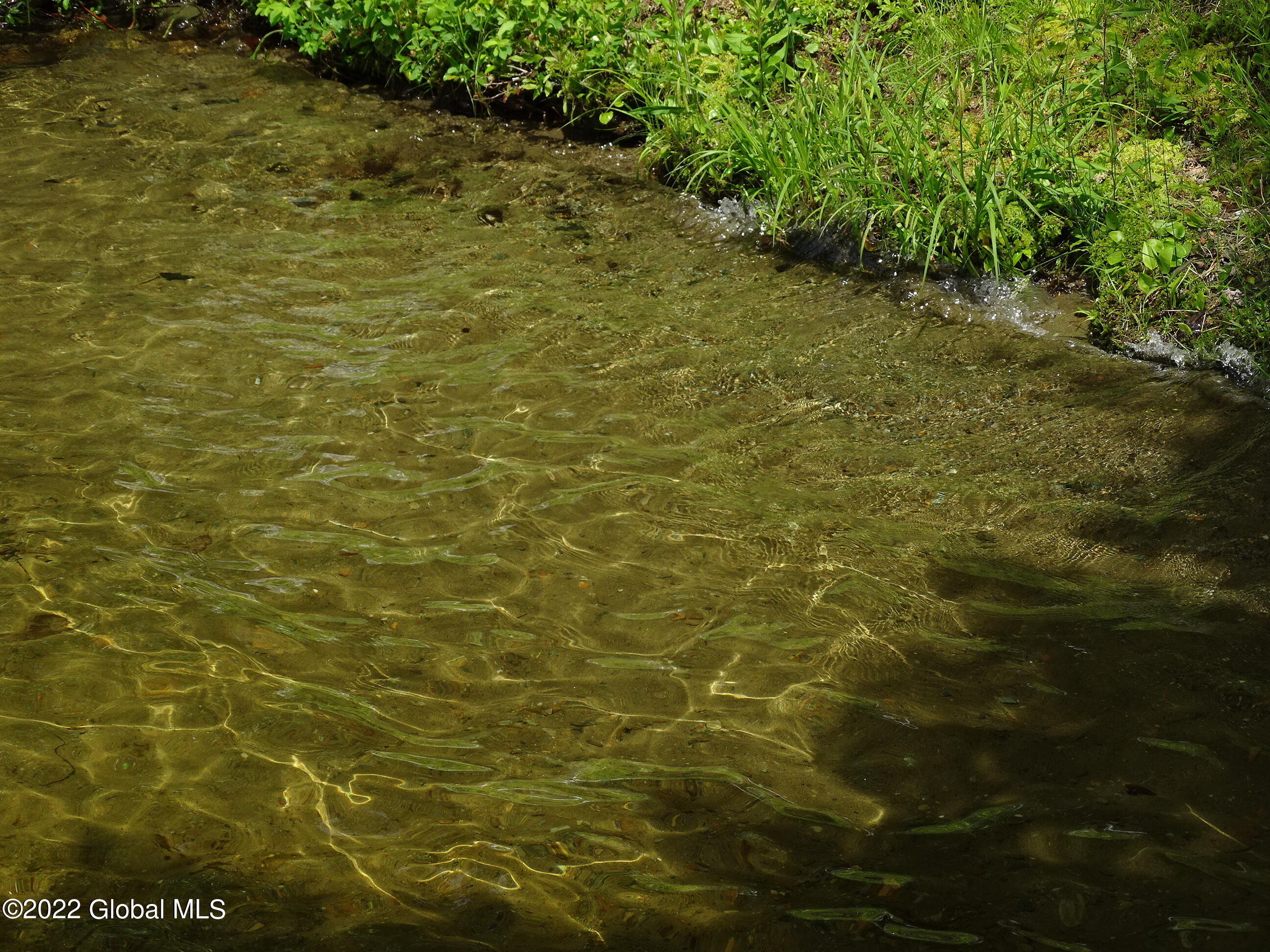 528 Dyken Pond Road Berlin, NY 12138 - Photo 42 of 100 DSC06160