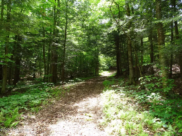 $1,318,000 | 528 Dyken Pond Road, Berlin, NY 12138