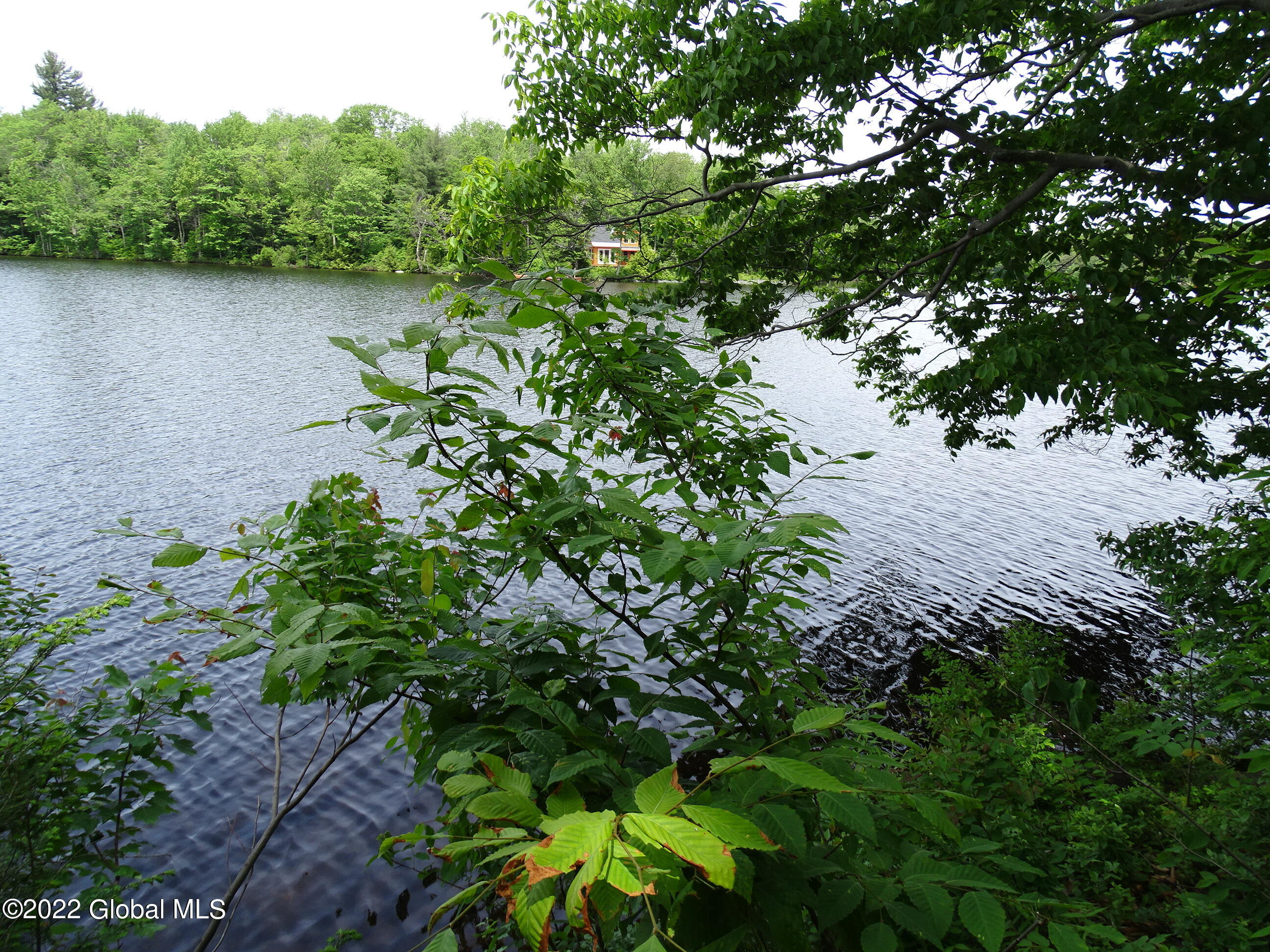 528 Dyken Pond Road Berlin, NY 12138 - Photo 56 of 100 DSC06069