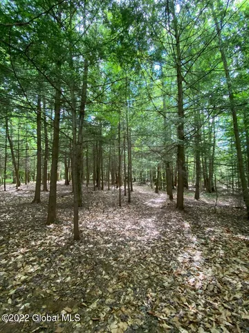 $1,318,000 | 528 Dyken Pond Road, Berlin, NY 12138