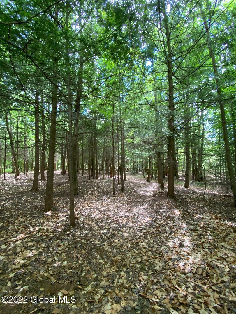 528 Dyken Pond Road Berlin, NY 12138 - Photo 61 of 100 5