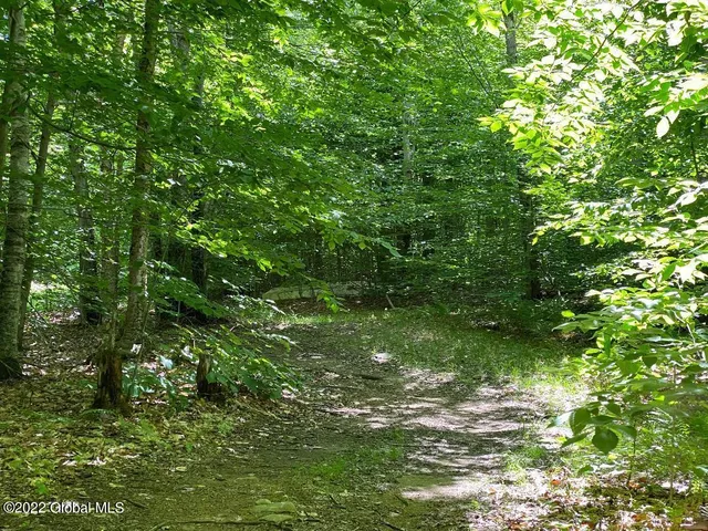 $1,318,000 | 528 Dyken Pond Road, Berlin, NY 12138