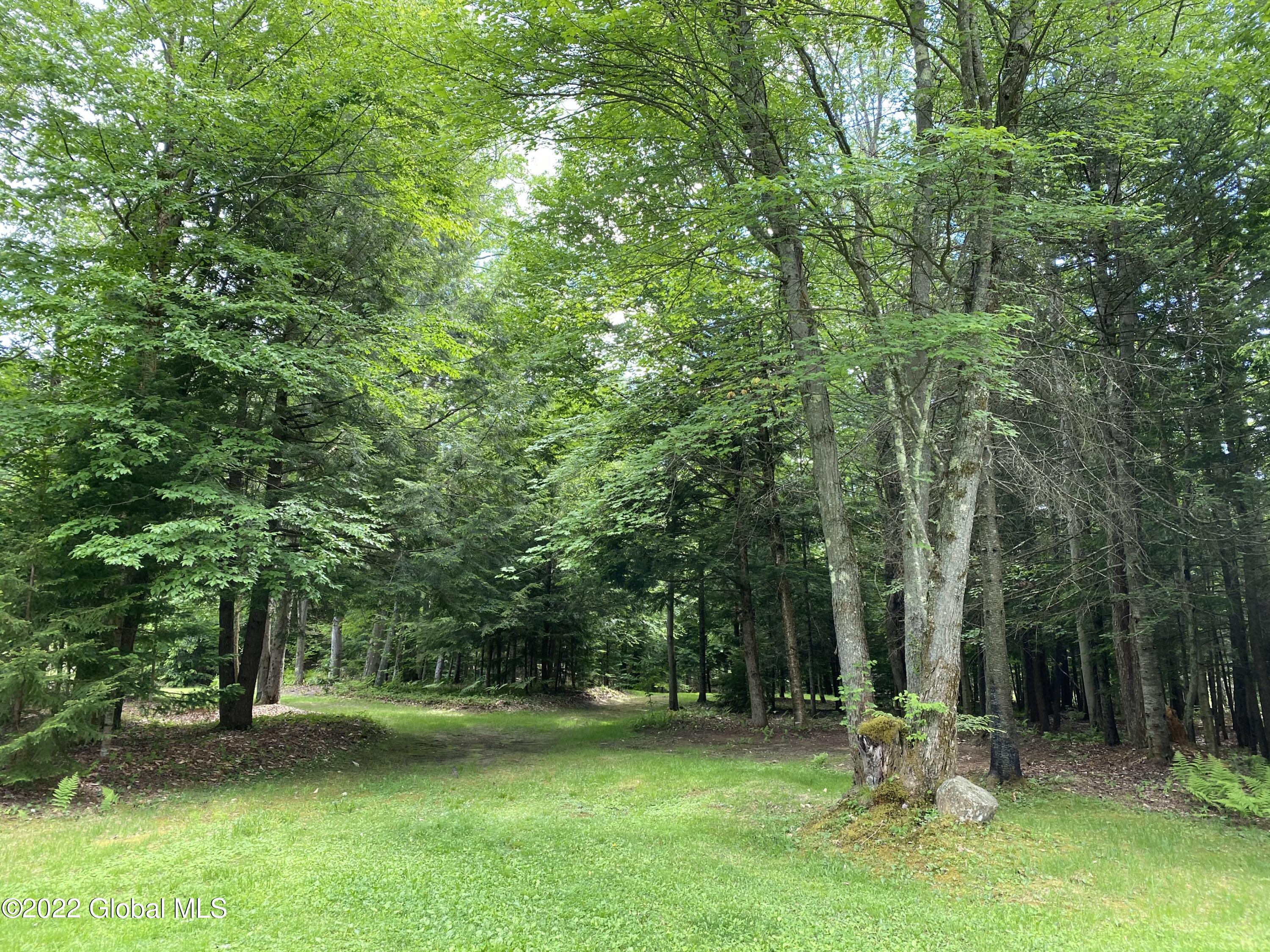 528 Dyken Pond Road Berlin, NY 12138 - Photo 67 of 100 IMG_2295