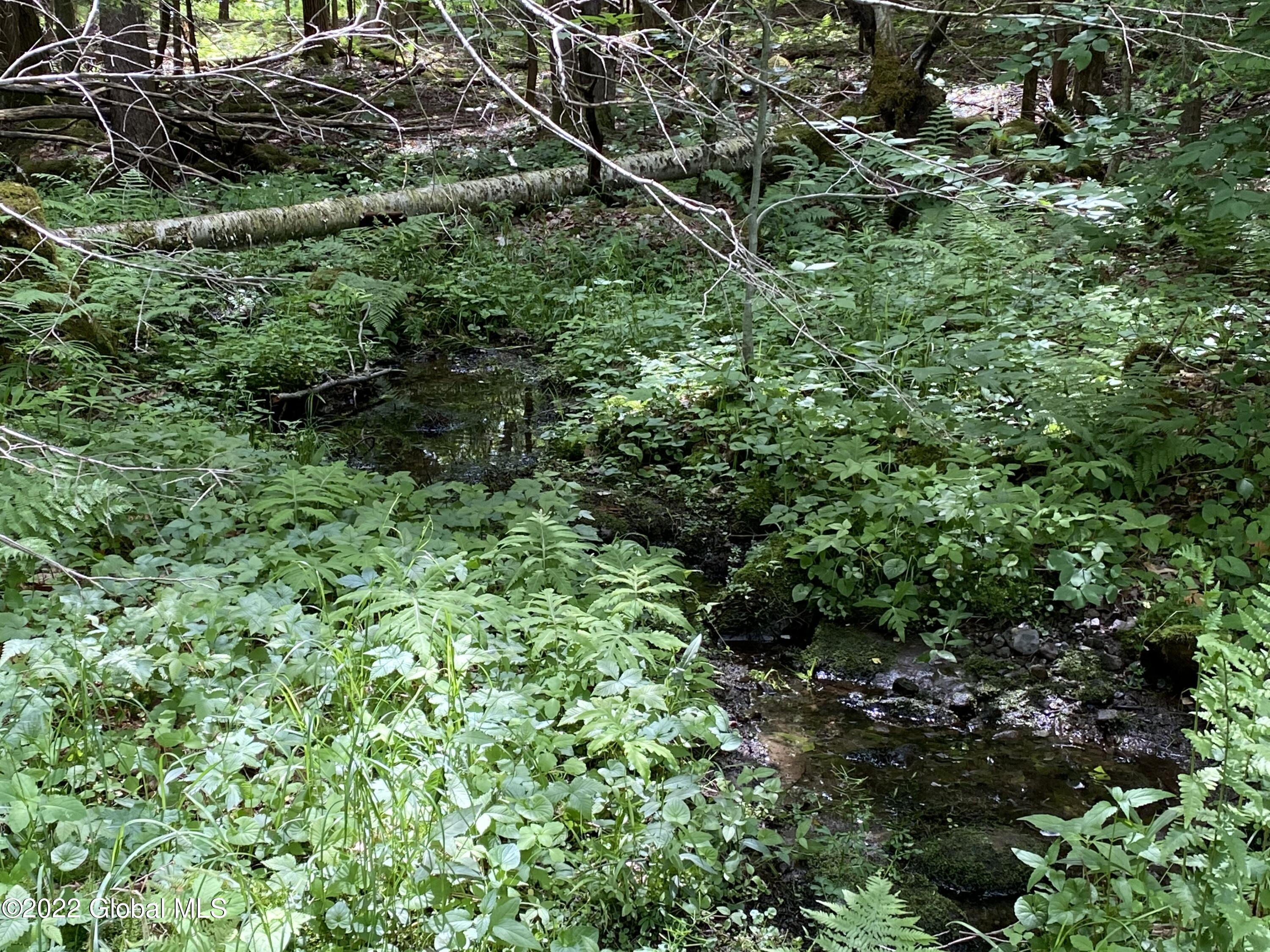 528 Dyken Pond Road Berlin, NY 12138 - Photo 72 of 100 IMG_2308