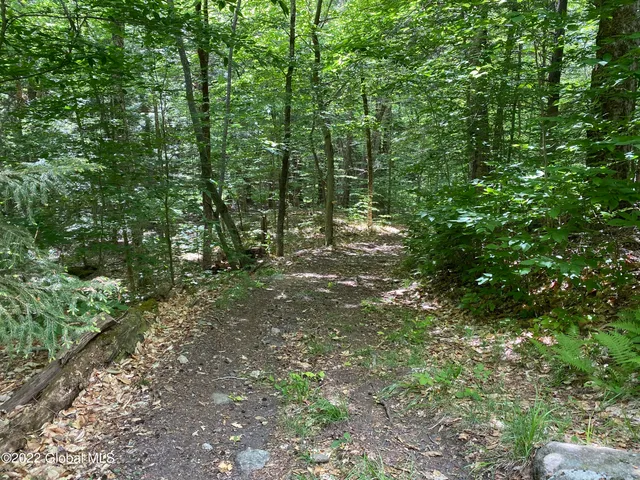 $1,318,000 | 528 Dyken Pond Road, Berlin, NY 12138