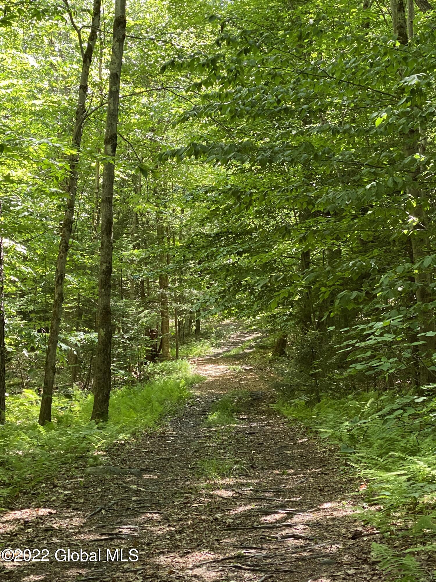 528 Dyken Pond Road Berlin, NY 12138 - Photo 75 of 100 IMG_2349