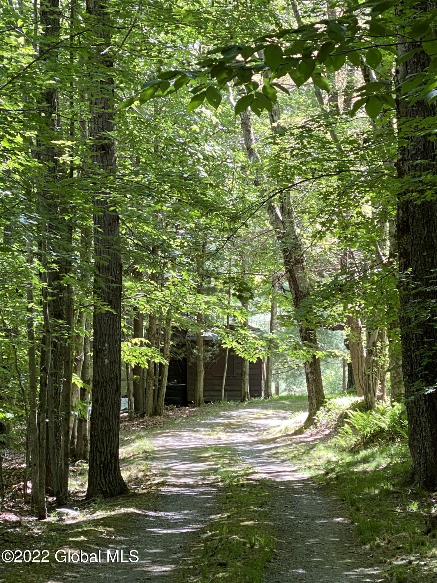 528 Dyken Pond Road Berlin, NY 12138 - Photo 76 of 100 IMG_2350