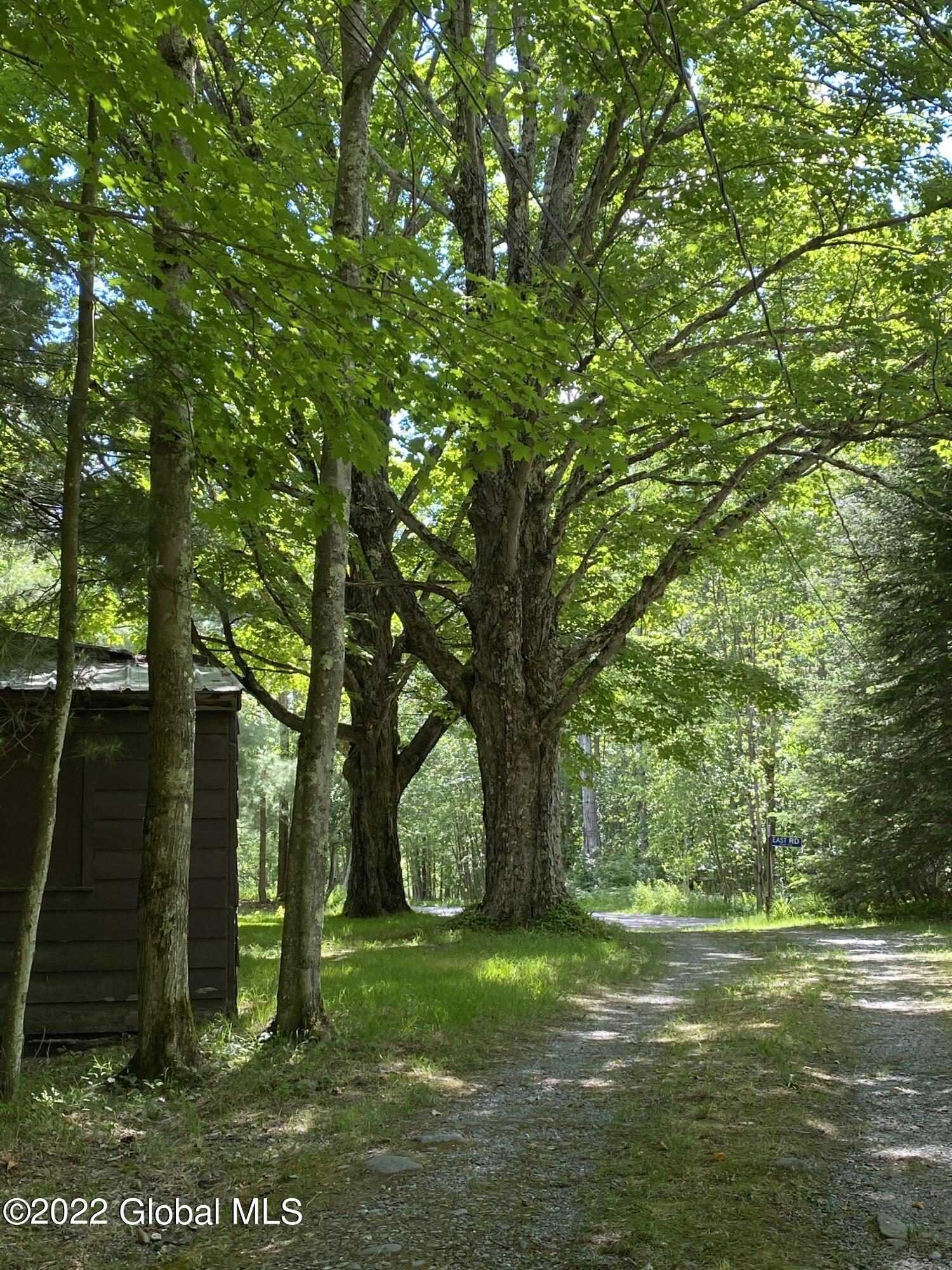 528 Dyken Pond Road Berlin, NY 12138 - Photo 77 of 100 IMG_2351