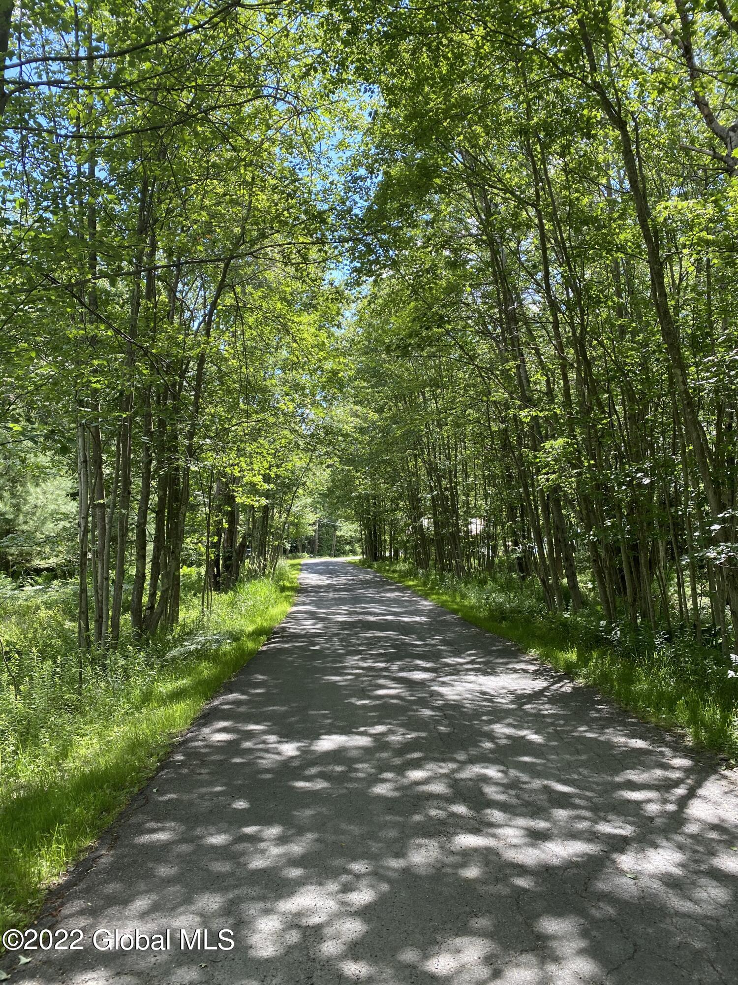 528 Dyken Pond Road Berlin, NY 12138 - Photo 78 of 100 IMG_2352