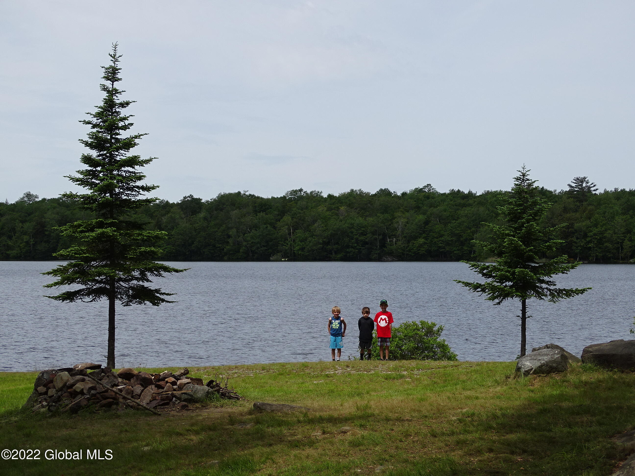 528 Dyken Pond Road Berlin, NY 12138 - Photo 10 of 100 DSC06019