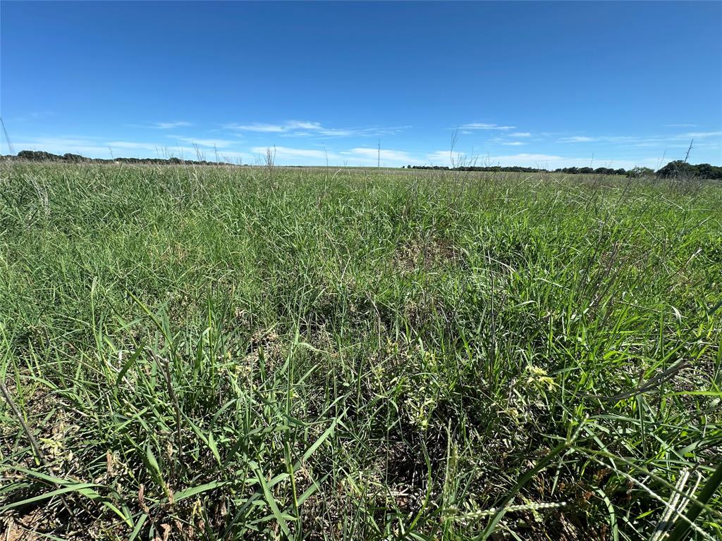 152 County Road 152 Comanche, TX 76442 - Photo 5 of 7 a view of yard with seating area and green space
