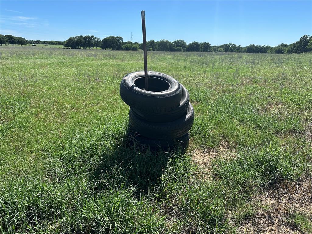 152 County Road 152 Comanche, TX 76442 - Photo 6 of 7 a garden view with a lake