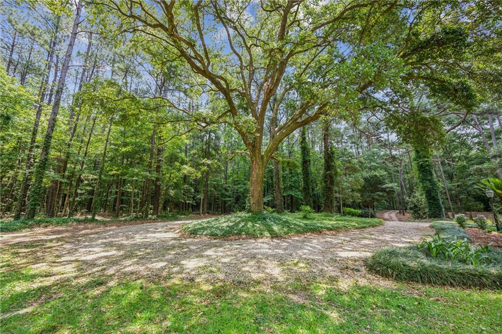 25169 Hemphill Road Bush, LA 70431 - Photo 25 of 31 Gallery Image 25