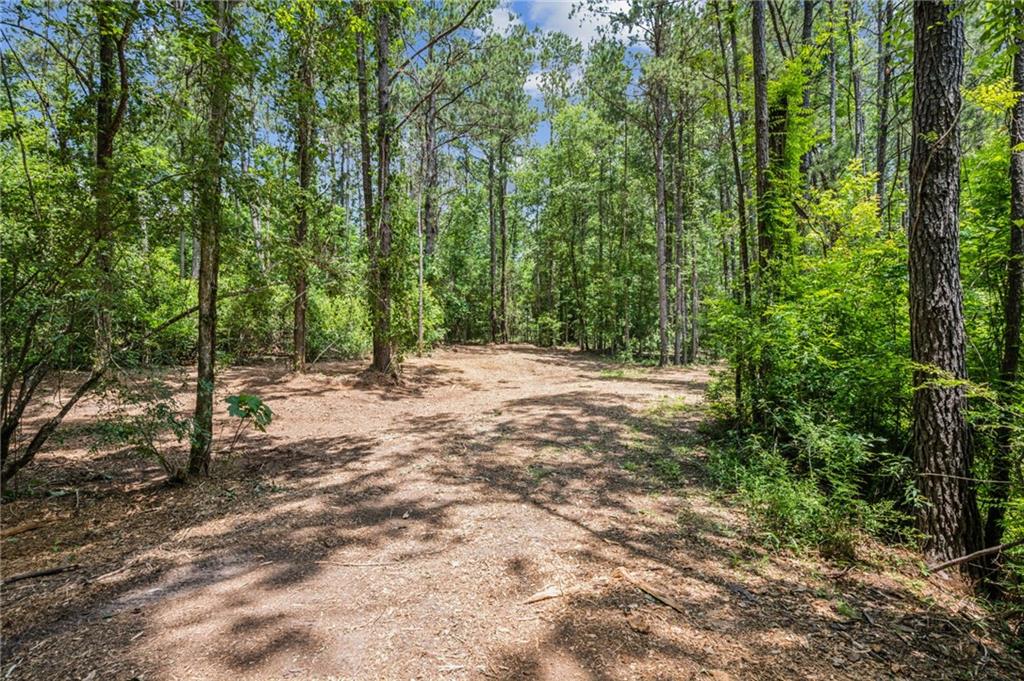 25169 Hemphill Road Bush, LA 70431 - Photo 28 of 31 Gallery Image 28