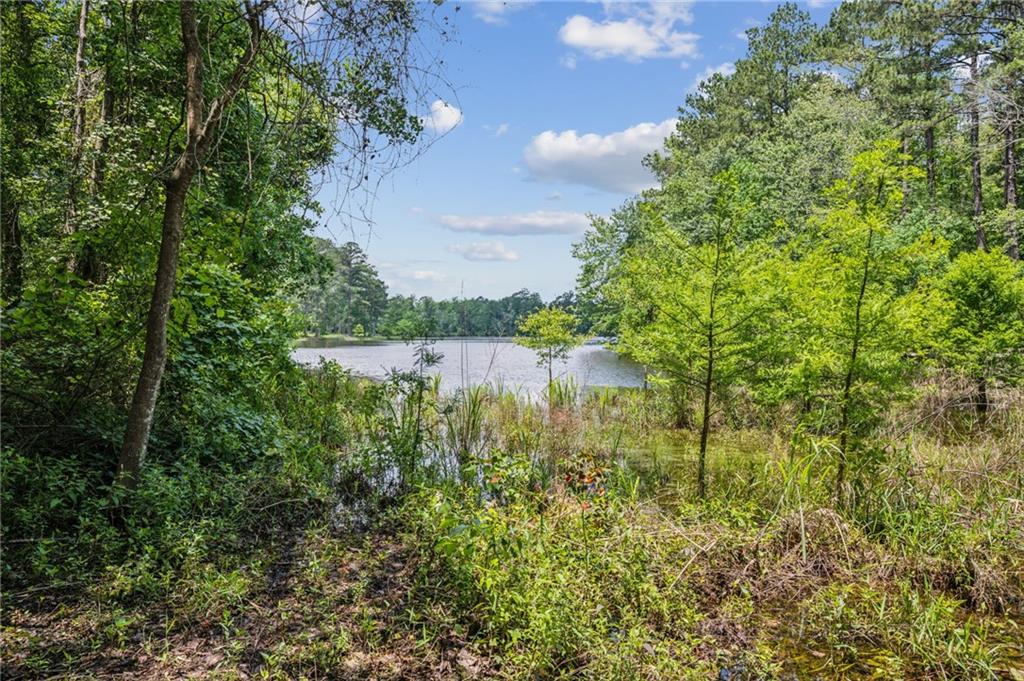 25169 Hemphill Road Bush, LA 70431 - Photo 3 of 31 Gallery Image 3