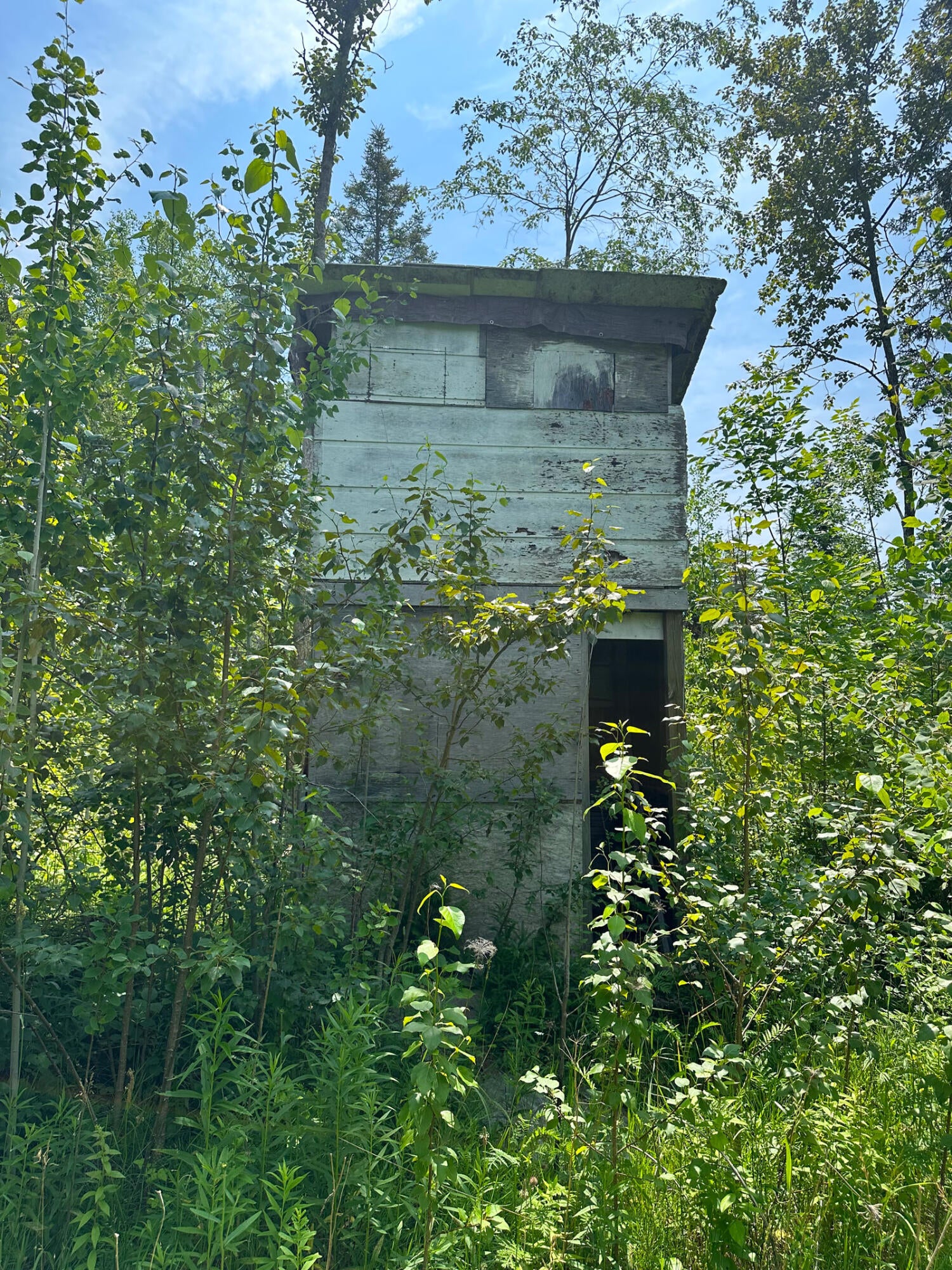 1363 Cheeseman Road St. Ignace, MI 49781 - Photo 26 of 35 Gallery Image 26