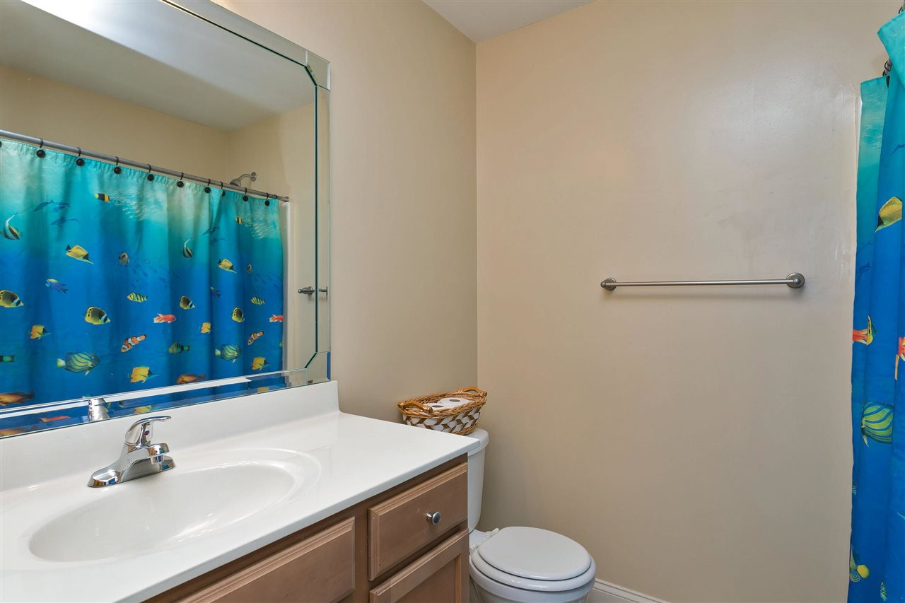 485 Chisenhall Road Angier, NC 27501 - Photo 12 of 15 Bathroom