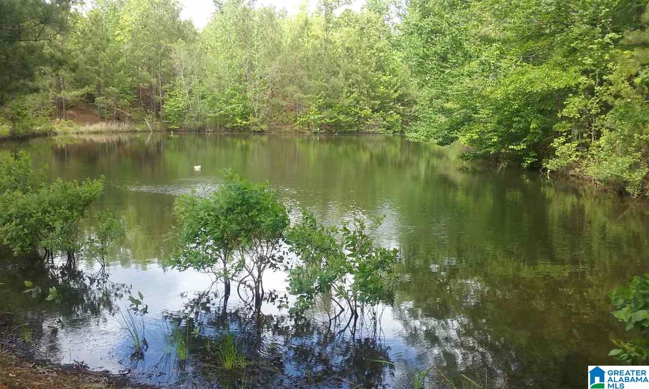 Old Jackson Road, Unit LEGAL Centreville, AL 35042 - Photo 7 of 11