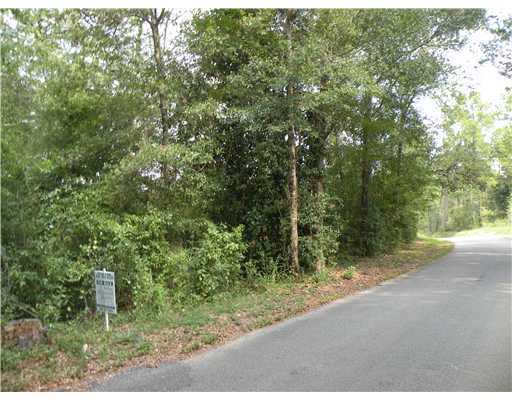 Lot 1 Lot Road Kiln, MS 39556 - Photo 1 of 1 Primary Photo