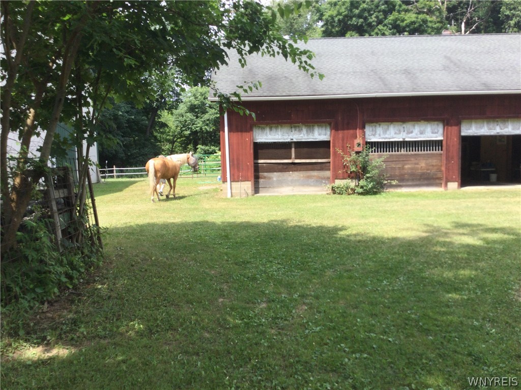 660 Rice Road Elma, NY 14059 - Photo 28 of 50