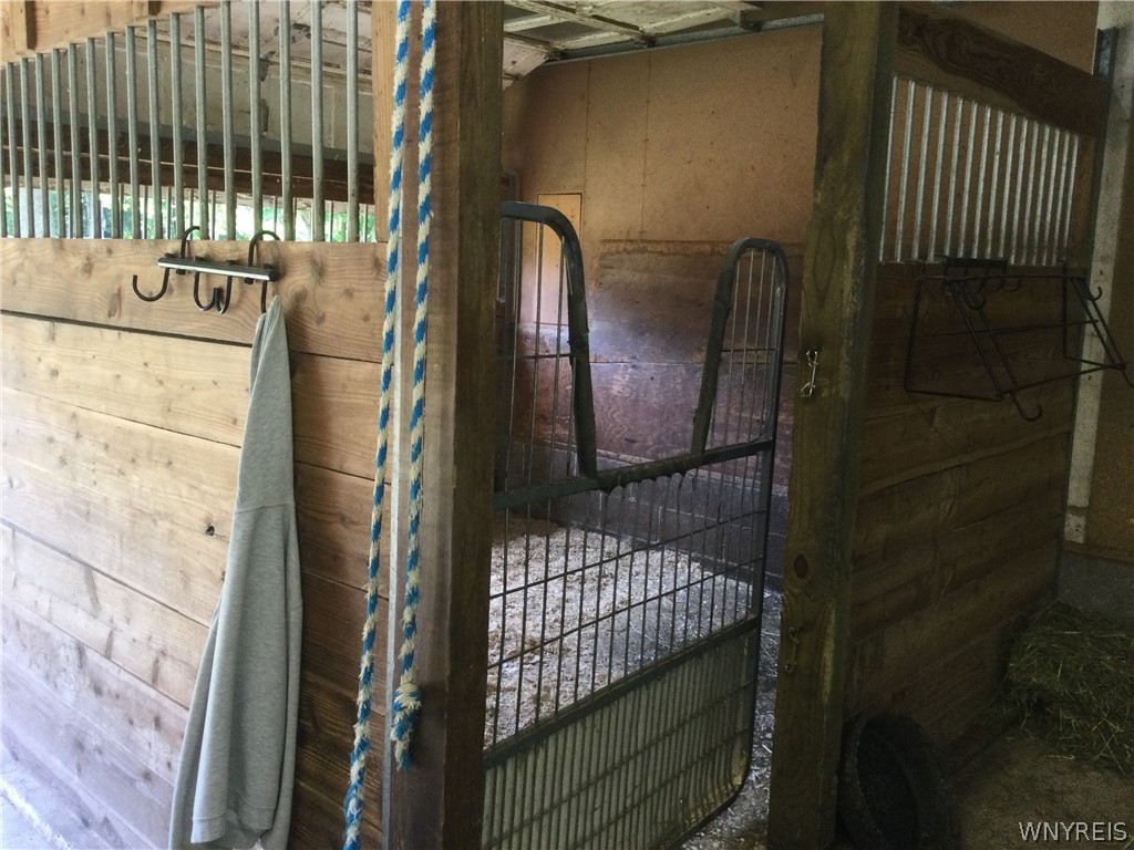 660 Rice Road Elma, NY 14059 - Photo 33 of 50