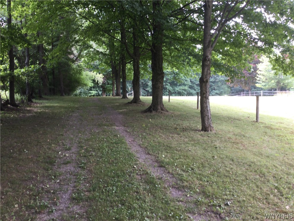 660 Rice Road Elma, NY 14059 - Photo 40 of 50