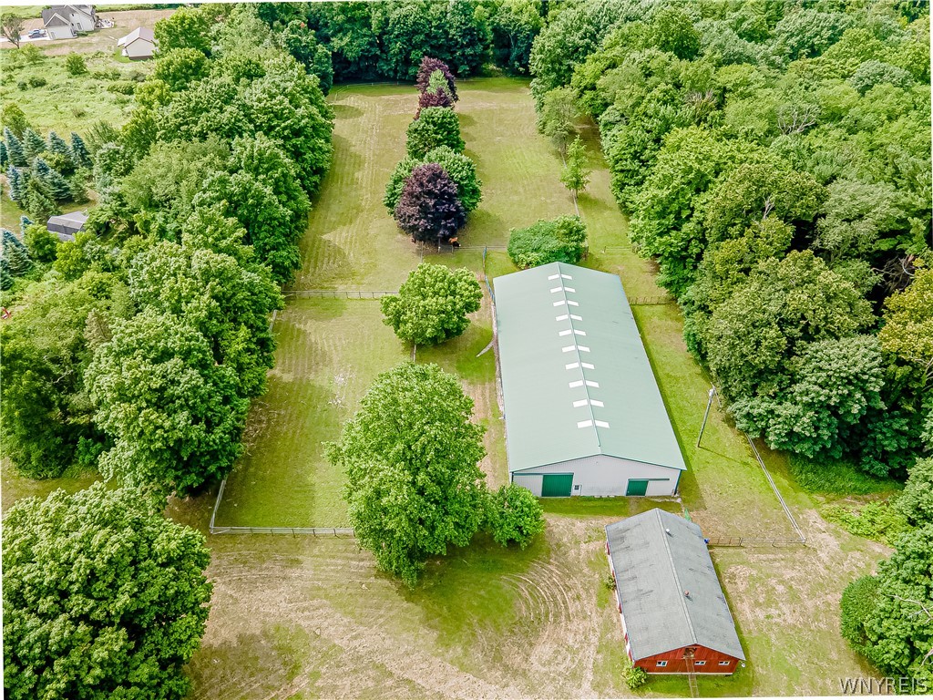 660 Rice Road Elma, NY 14059 - Photo 46 of 50