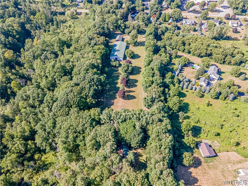 660 Rice Road Elma, NY 14059 - Photo 47 of 50