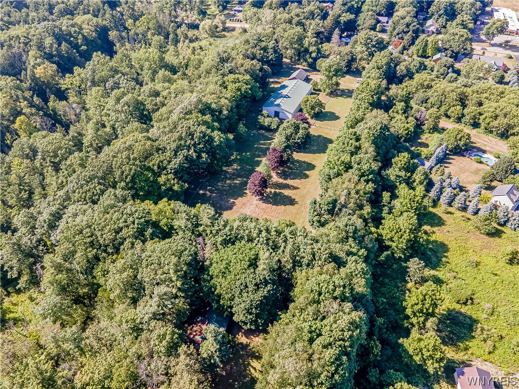 660 Rice Road Elma, NY 14059 - Photo 48 of 50