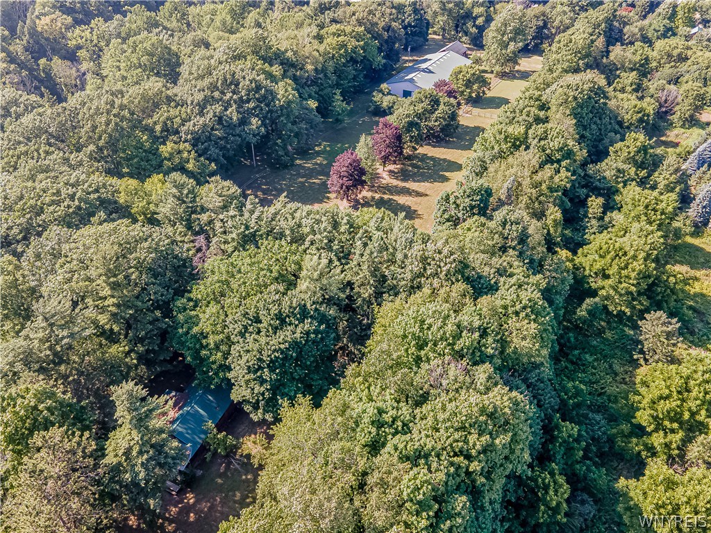 660 Rice Road Elma, NY 14059 - Photo 49 of 50