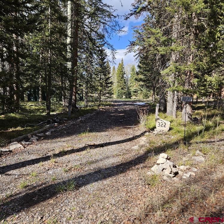 322 Spruce Road Cimarron, CO 81220 - Photo 1 of 23