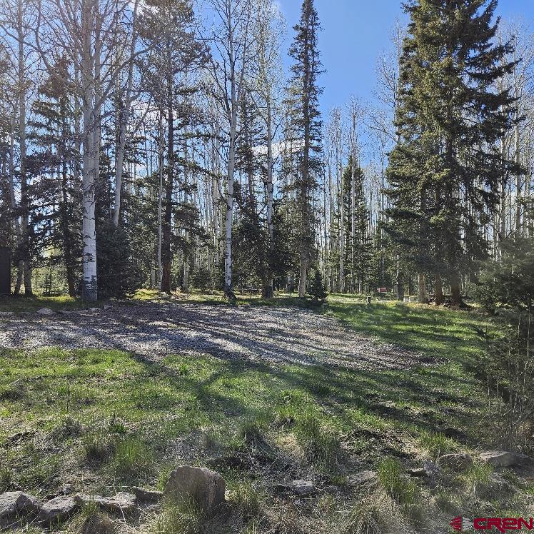 322 Spruce Road Cimarron, CO 81220 - Photo 15 of 23