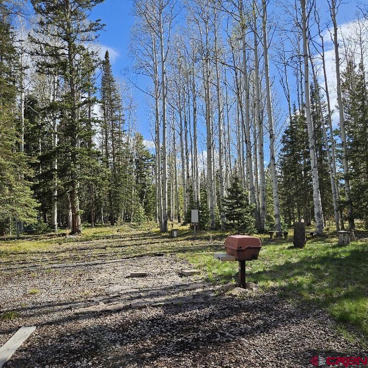 322 Spruce Road Cimarron, CO 81220 - Photo 19 of 23