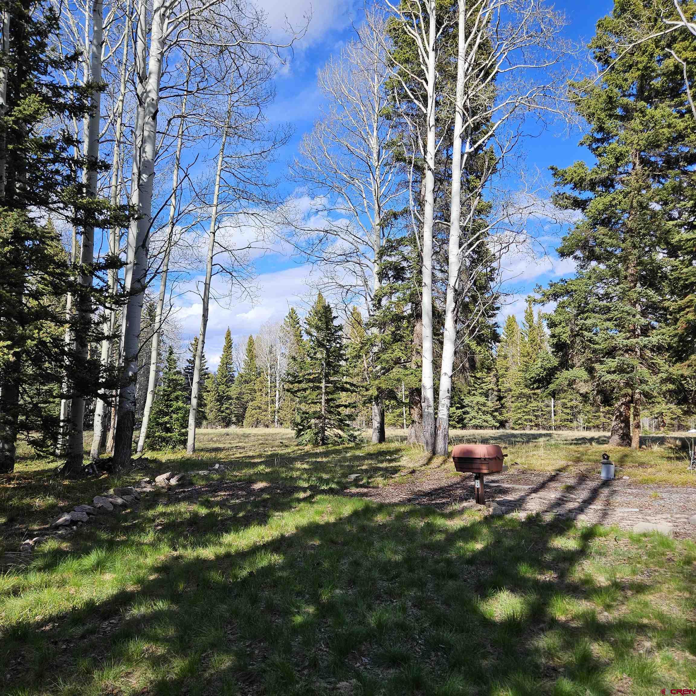 322 Spruce Road Cimarron, CO 81220 - Photo 20 of 23