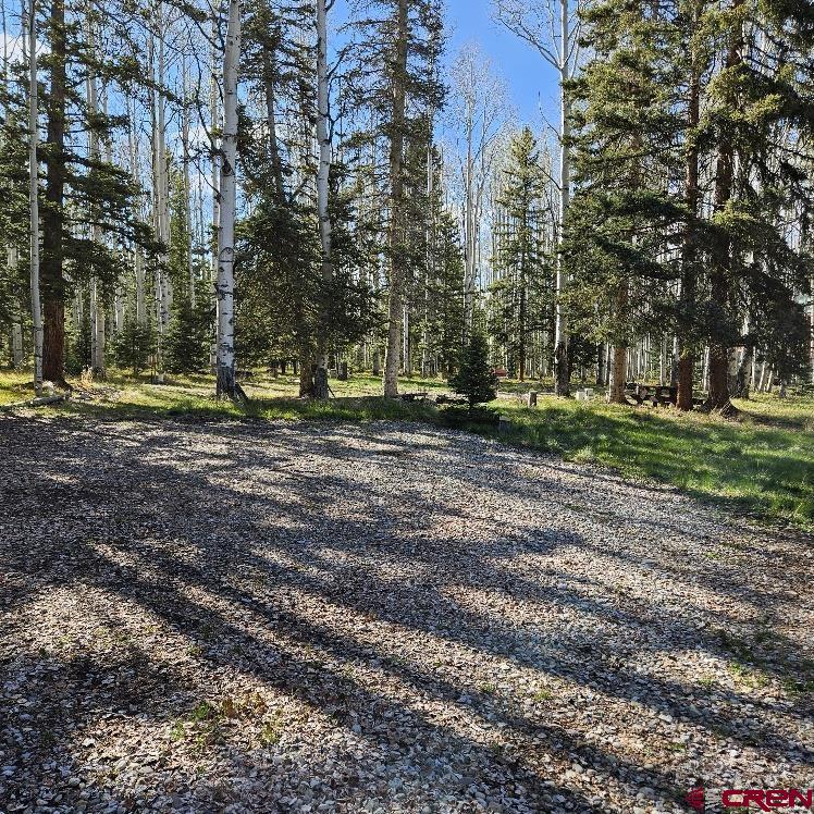 322 Spruce Road Cimarron, CO 81220 - Photo 3 of 23