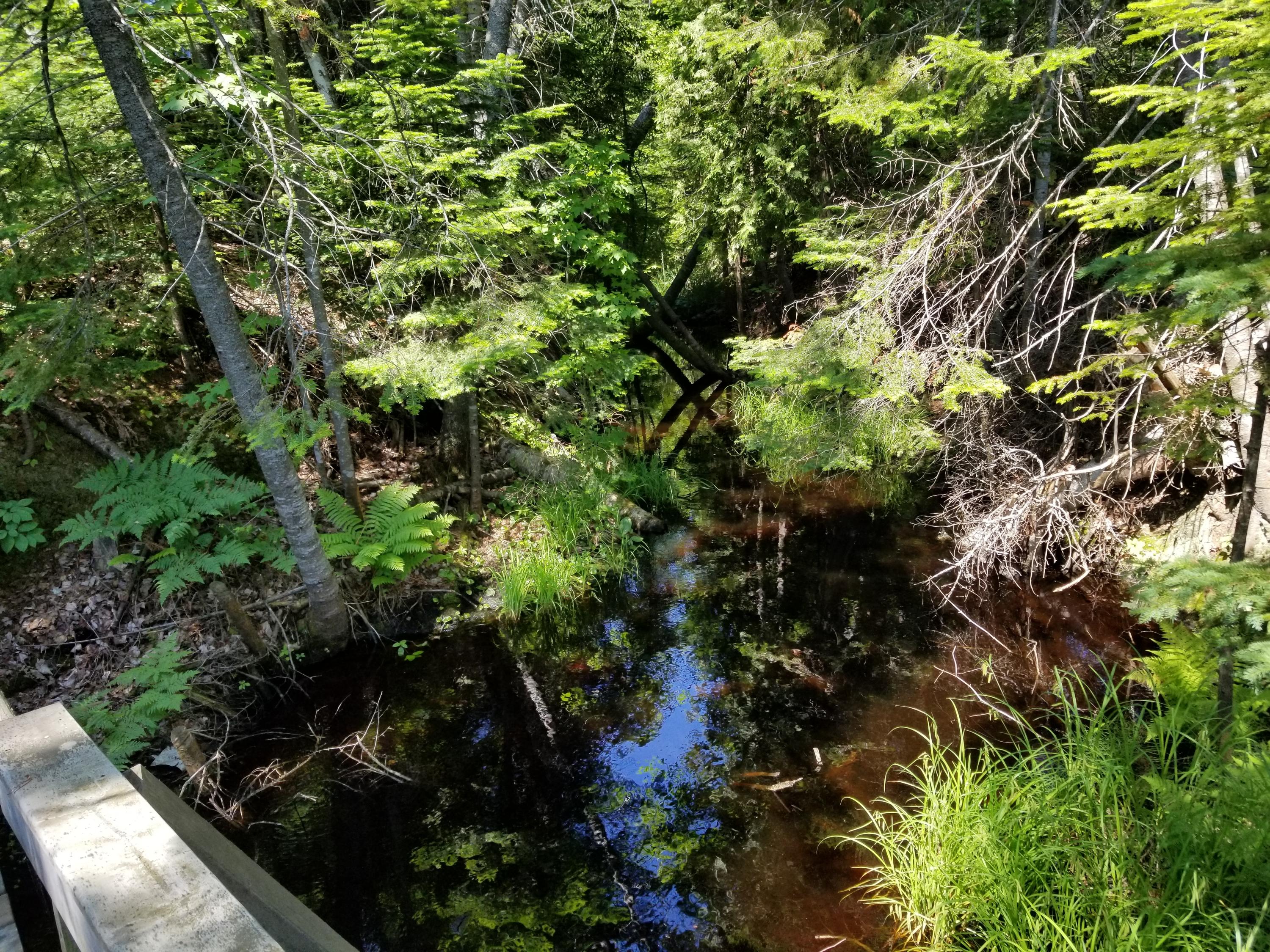 10012 North Whitefish Point Road Paradise, MI 49768 - Photo 9 of 19 Gallery Image 9