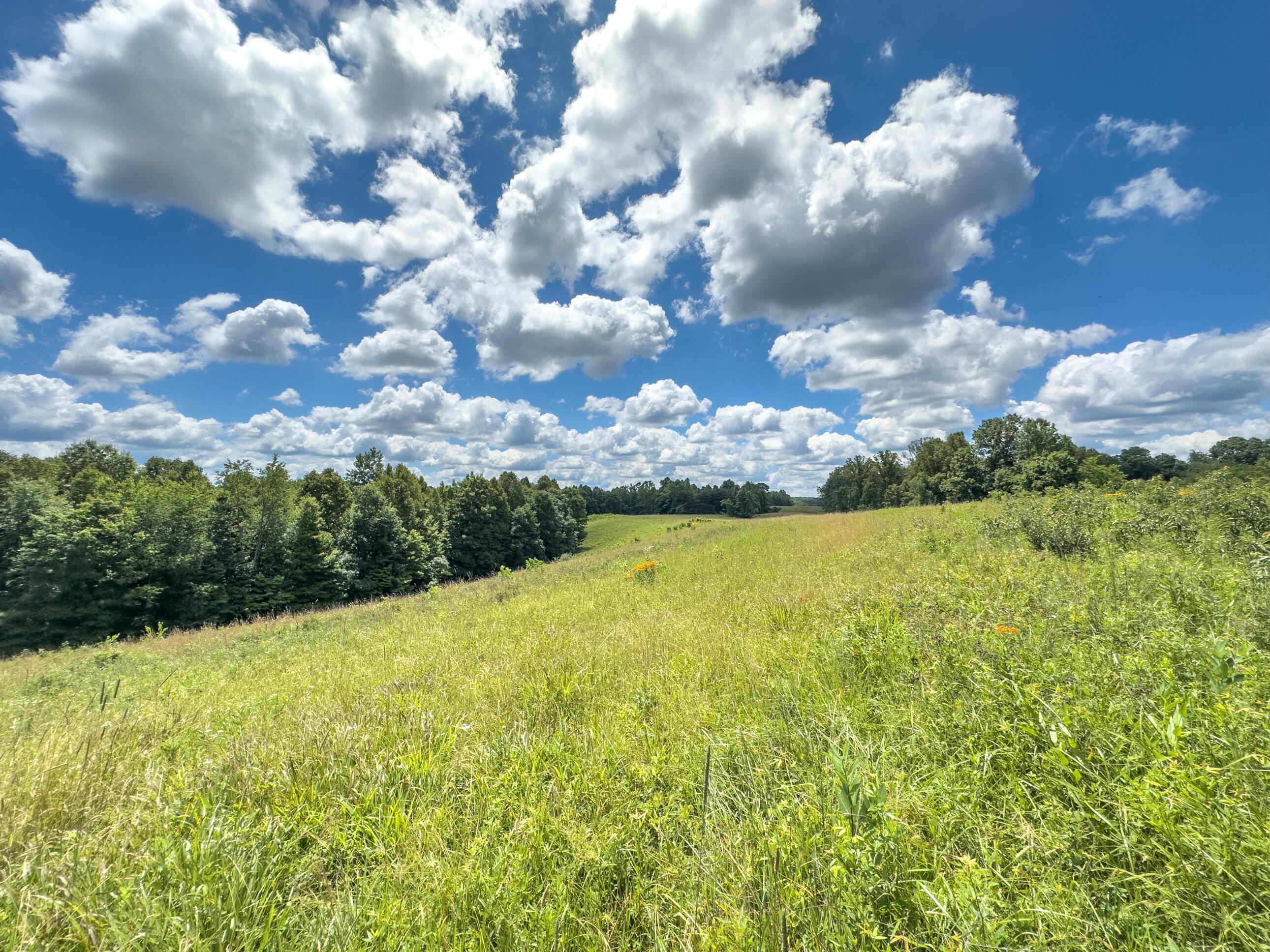 0 Kalklosch Road Logan, OH 43138 - Photo 12 of 20 Kalklosch Rd; 81 ac-3-17