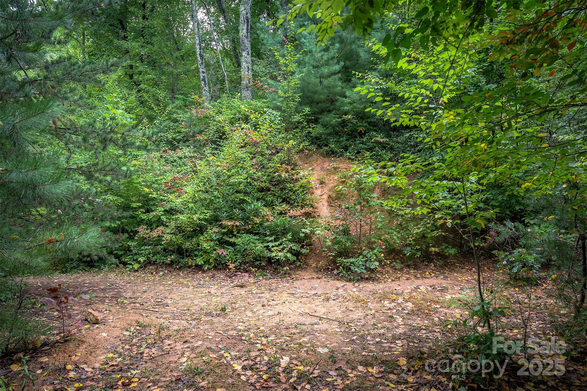 66 Sisters View Drive, Unit 159 Black Mountain, NC 28711 - Photo 18 of 35 a view of a lush green forest