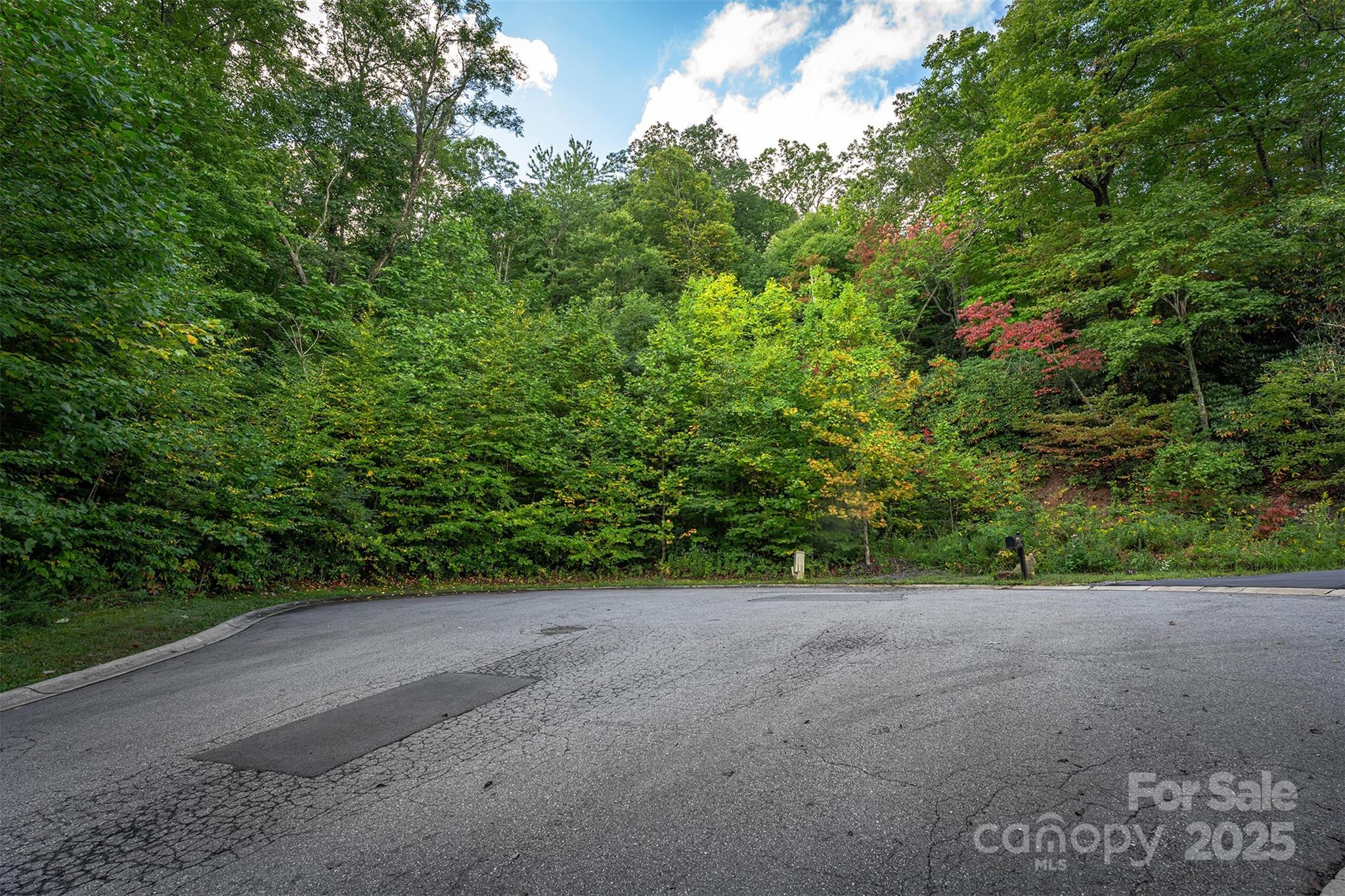 66 Sisters View Drive, Unit 159 Black Mountain, NC 28711 - Photo 20 of 35 a view of a yard with a tree