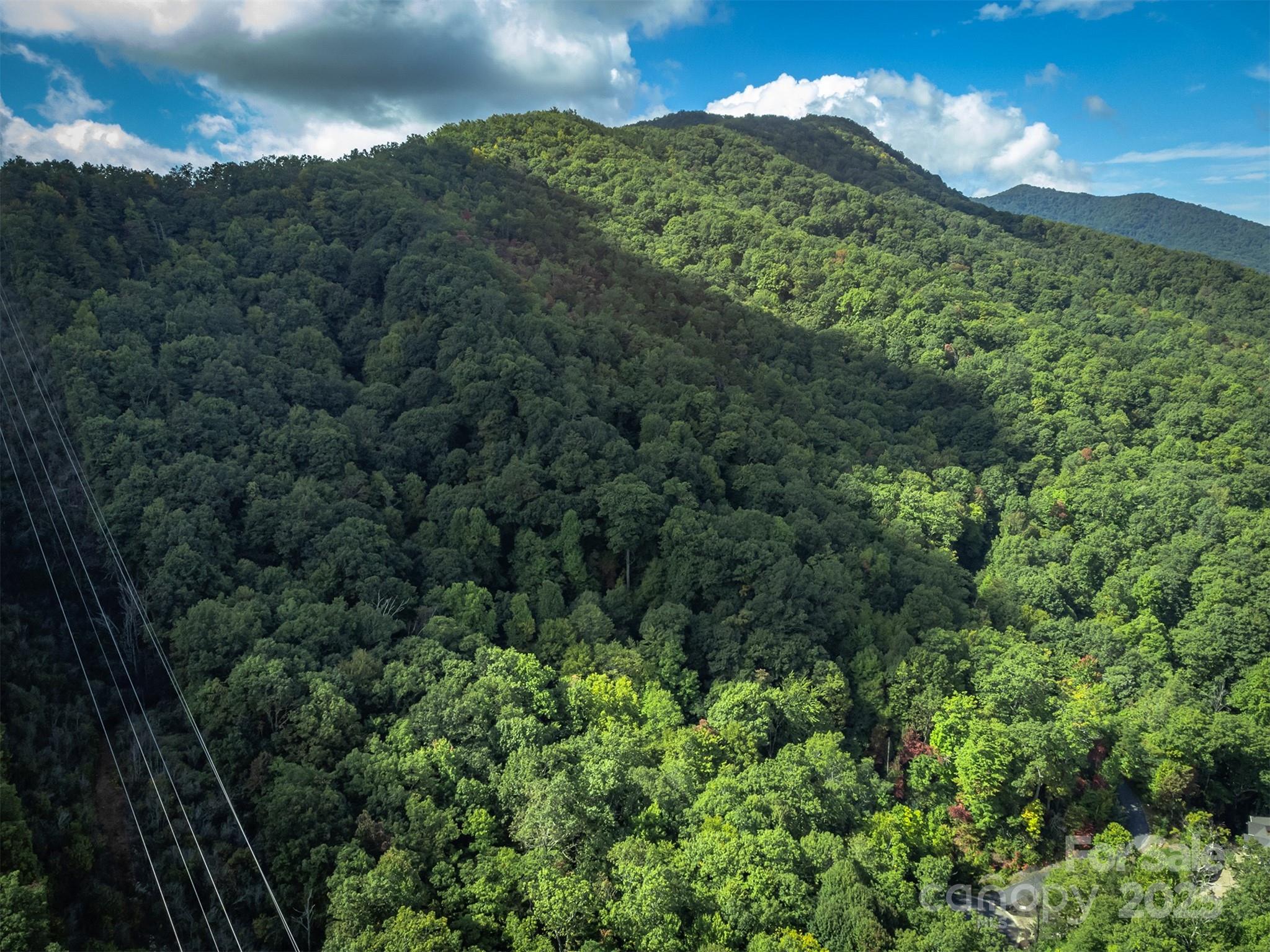 66 Sisters View Drive, Unit 159 Black Mountain, NC 28711 - Photo 2 of 35 a view of a green yard