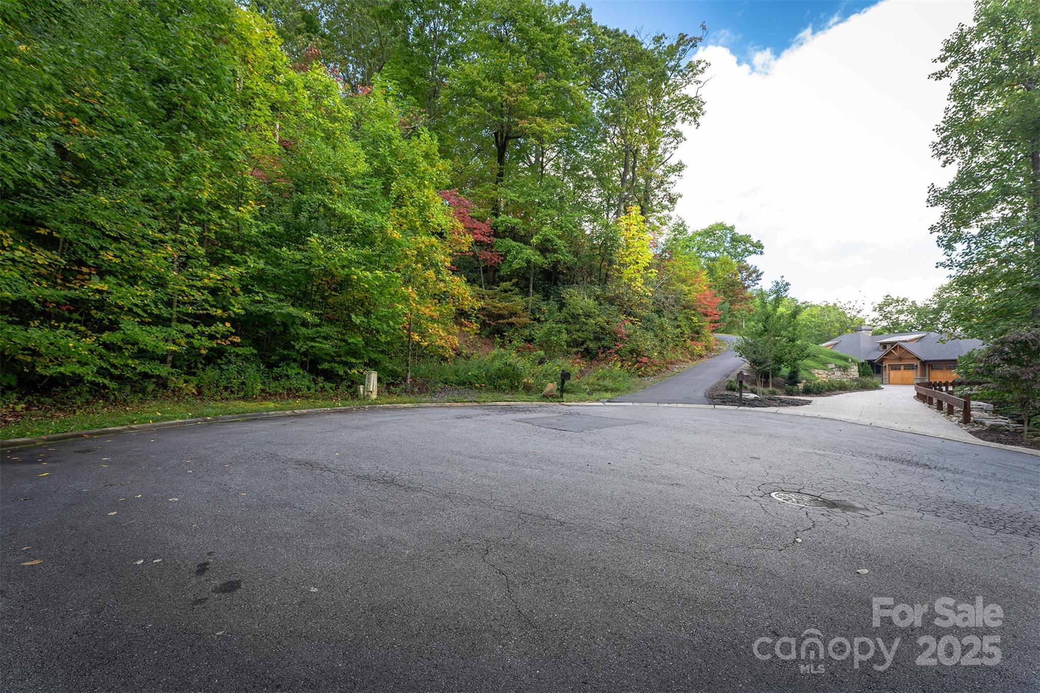 66 Sisters View Drive, Unit 159 Black Mountain, NC 28711 - Photo 21 of 35 a view of a street with a houses
