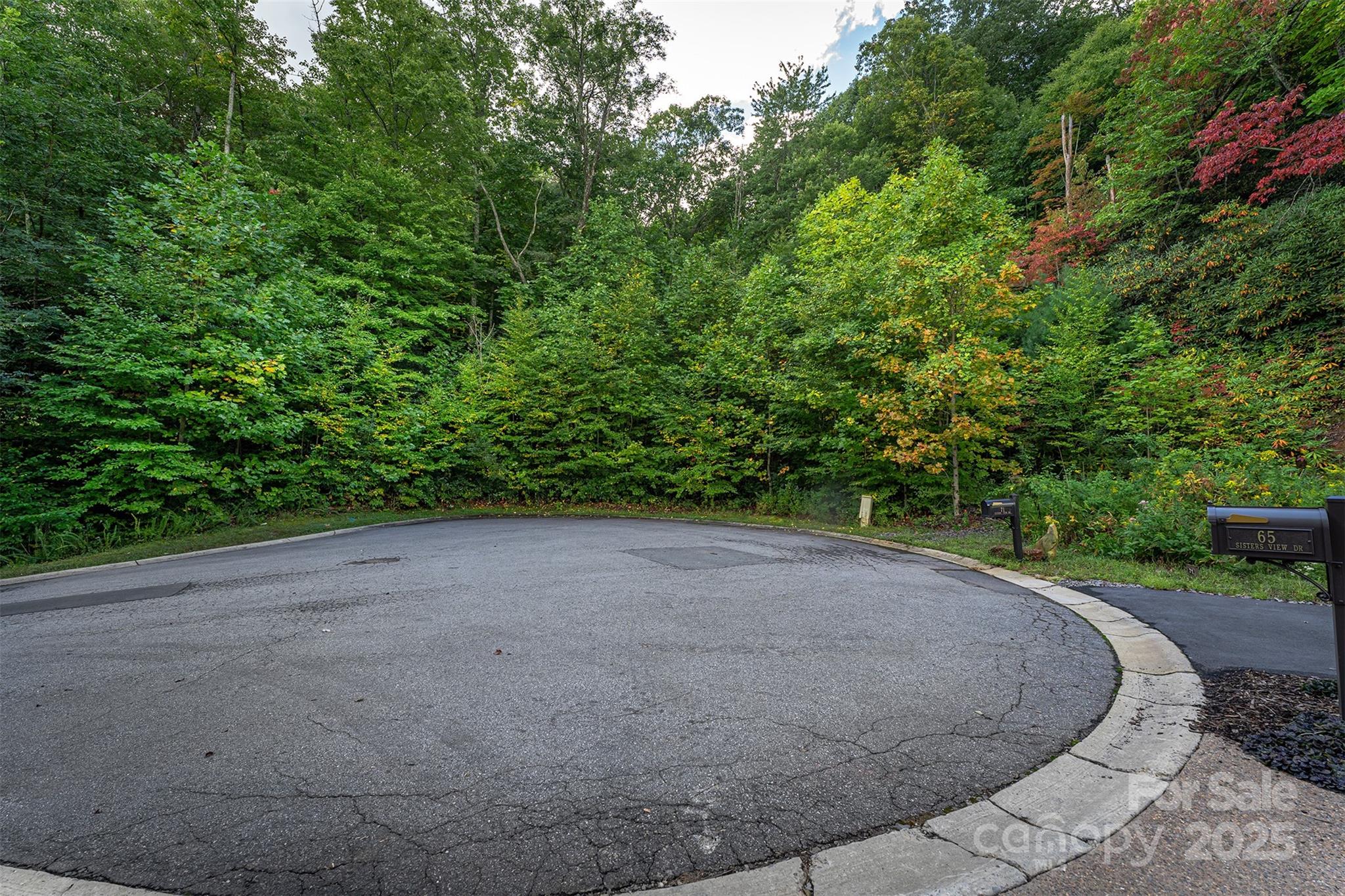 66 Sisters View Drive, Unit 159 Black Mountain, NC 28711 - Photo 22 of 35 a view of a field with plants and trees
