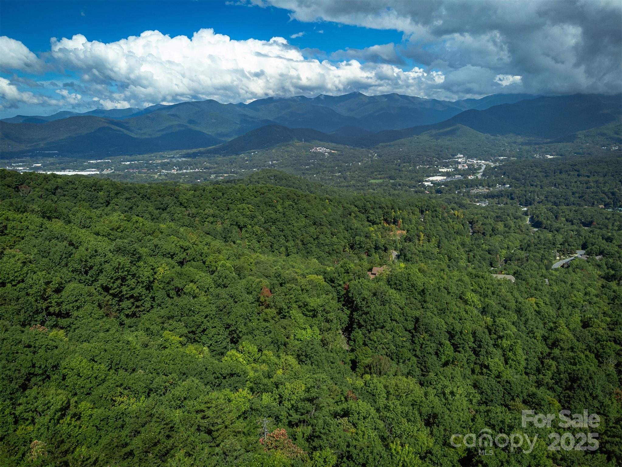 66 Sisters View Drive, Unit 159 Black Mountain, NC 28711 - Photo 23 of 35 a view of a city with lush green forest