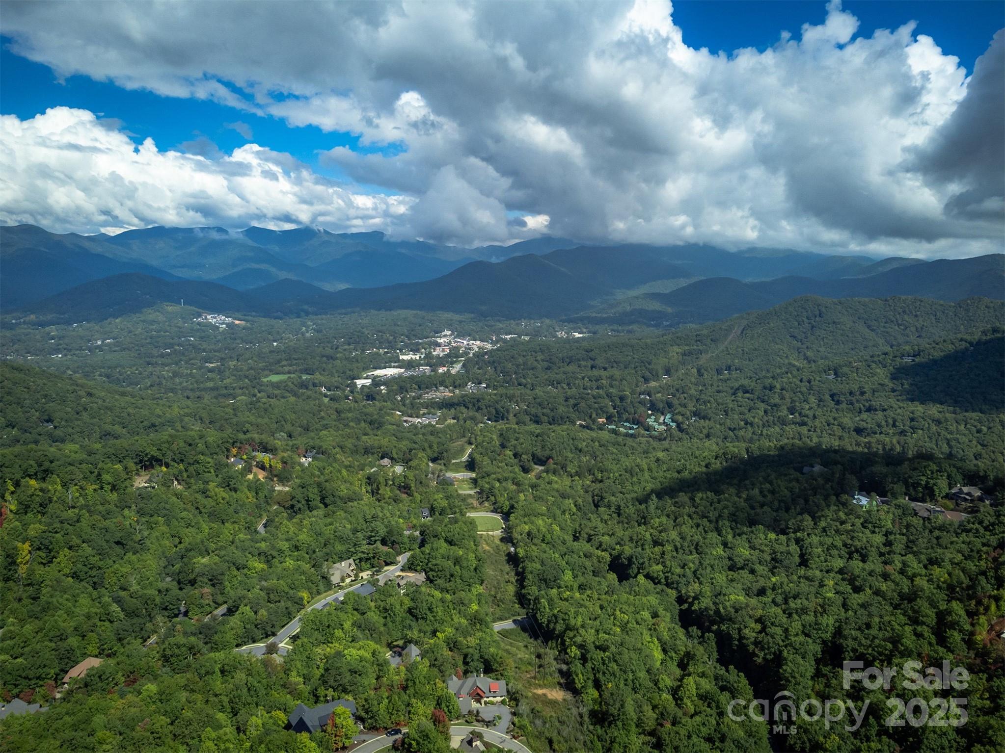 66 Sisters View Drive, Unit 159 Black Mountain, NC 28711 - Photo 25 of 35 a view of a city with lush green forest